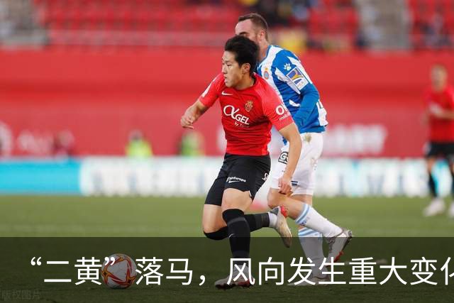 “二黄”落马，风向发生重大变化