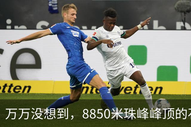 万万没想到，8850米珠峰峰顶的石头，竟然来自4亿年前的海底！