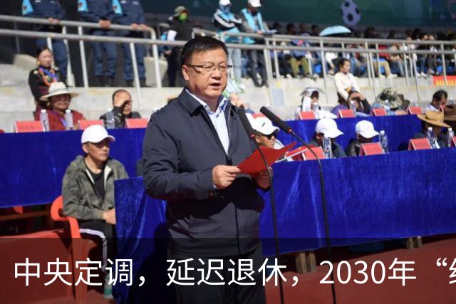 中央定调，延迟退休，2030年“缓冲期”后，提前退休需啥条件呢？