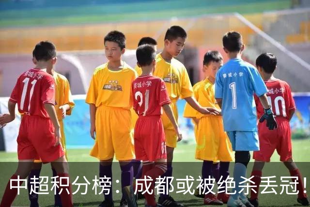 中超积分榜：成都或被绝杀丢冠！河南队保级上岸，武汉提前降级
