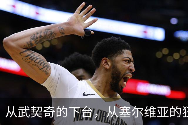 从武契奇的下台，从塞尔维亚的狂欢，来分析中国网友的眼界和素养