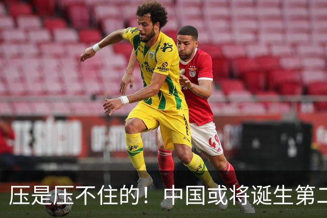 压是压不住的！中国或将诞生第二个华为