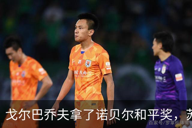 戈尔巴乔夫拿了诺贝尔和平奖，苏联没了，曼德拉拿了诺贝尔和平奖，南非废了，莫言拿了诺贝尔文学奖，有人考证莫言家世了