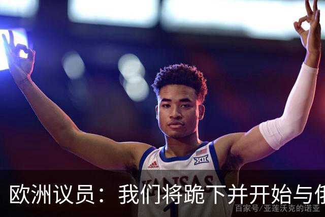 欧洲议员：我们将跪下并开始与俄谈判，这是我们自身愚蠢的结果