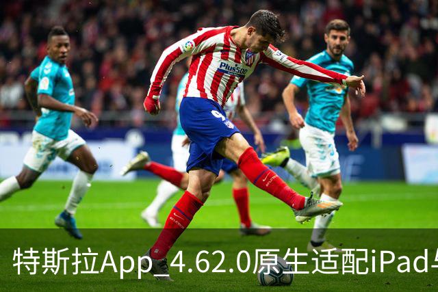 特斯拉App 4.62.0原生适配iPad与iPhone Duo