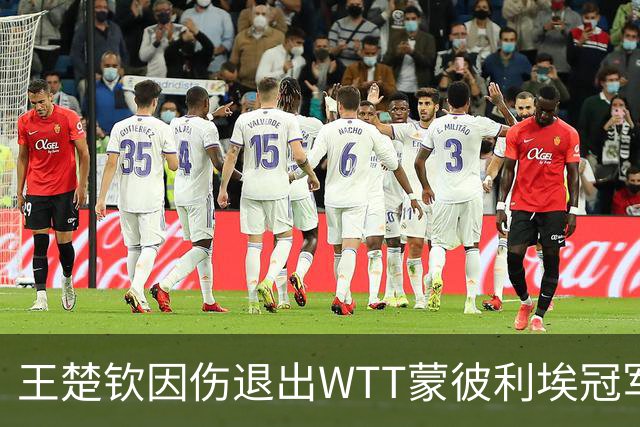 王楚钦因伤退出WTT蒙彼利埃冠军赛