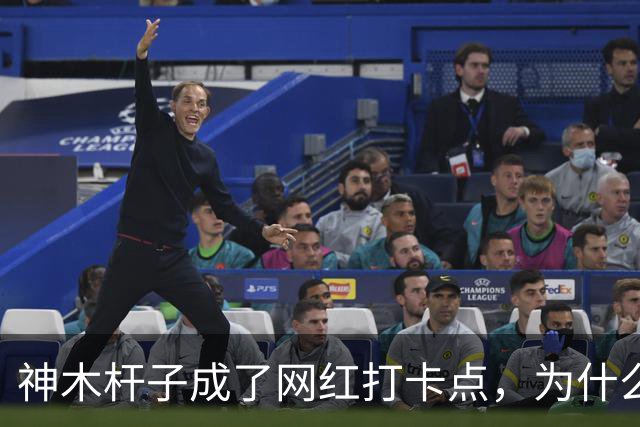 神木杆子成了网红打卡点，为什么要围起来？