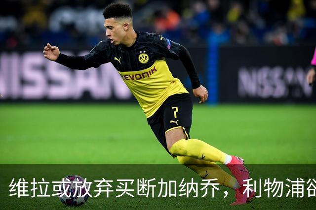 维拉或放弃买断加纳乔，利物浦欲激活阿劳霍选项