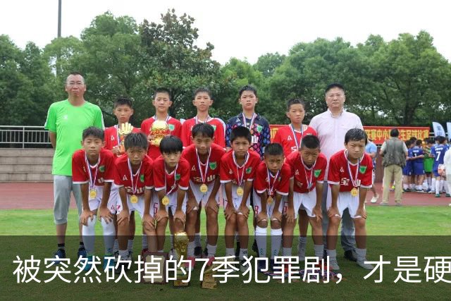 被突然砍掉的7季犯罪剧，才是硬汉剧该有的样子
