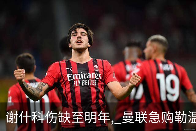 谢什科伤缺至明年, 曼联急购勒温补锋线