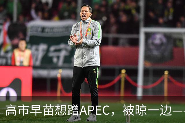 高市早苗想蹭APEC，被晾一边——这台阶修成滑梯还铺“鬼火”，滑不滑稽？